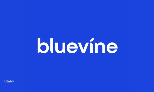 Bluevine: A Strong Digital Banking Option for Businesses