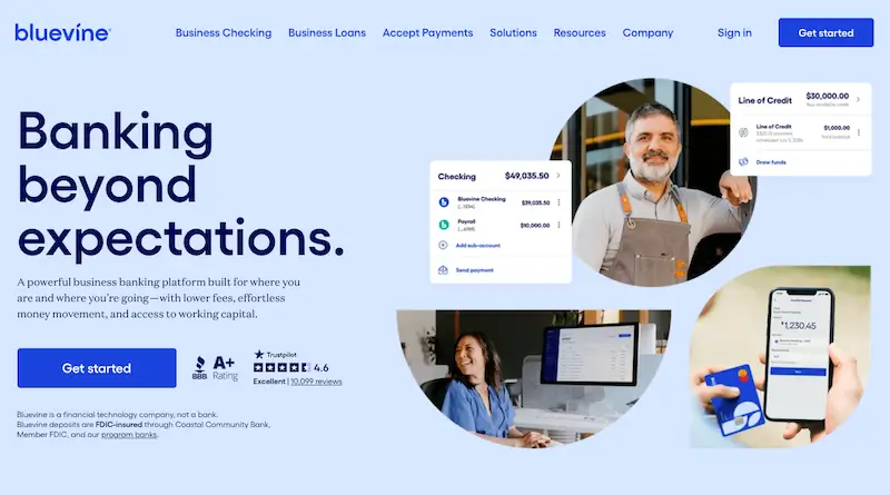 Bluevine website screenshot